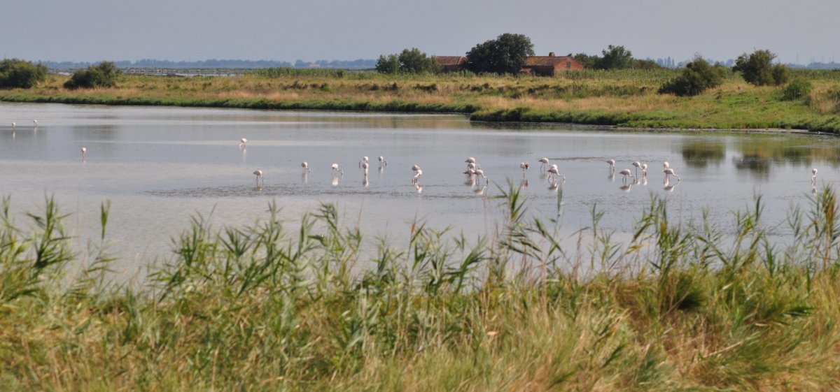 COMACCHIO E LE SUE VALLI 